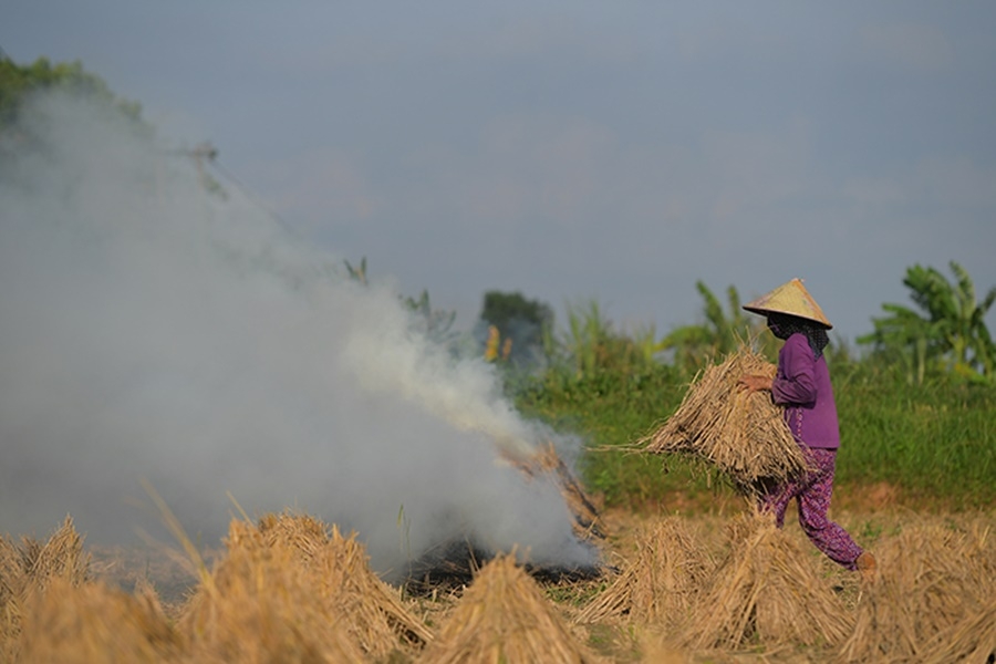 Khói đốt đồng!